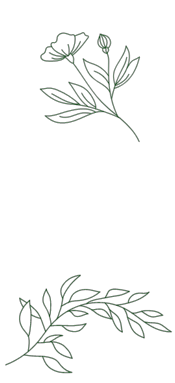 flowers images